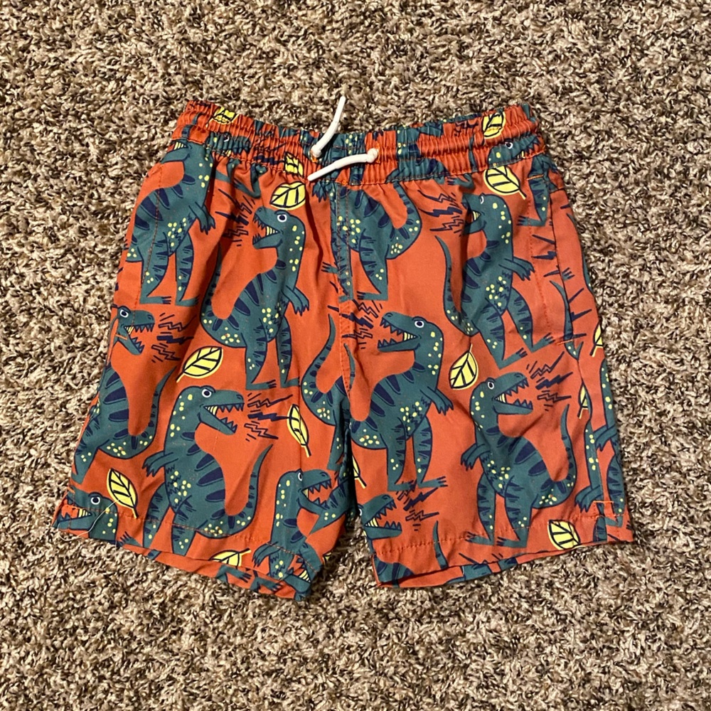 Boys Dinosaur Swim trunks